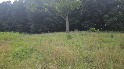 Rebel Farms 2 Tract 10