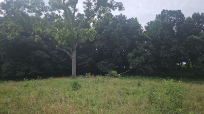 Rebel Farms 2 Tract 10