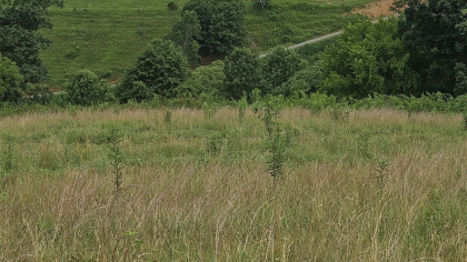Rebel Farms 2 Tract 7