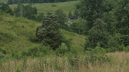 Rebel Farms 2 Tract 7