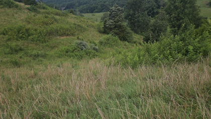 Rebel Farms 2 Tract 7