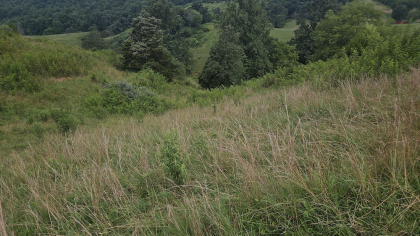Rebel Farms 2 Tract 7