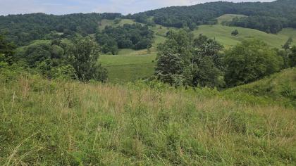 Rebel Farms 2 Tract 7