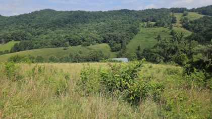 Rebel Farms 2 Tract 3