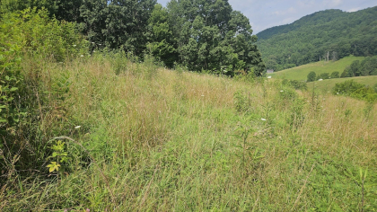 Rebel Farms 2 Tract 3