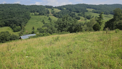 Rebel Farms 2 Tract 3