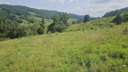 Rebel Farms 2 Tract 3