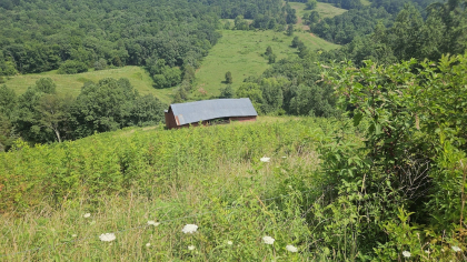 Rebel Farms 2 Tract 3