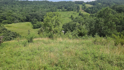 Rebel Farms 2 Tract 3
