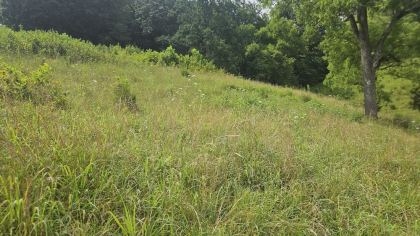 Rebel Farms 2 Tract 4