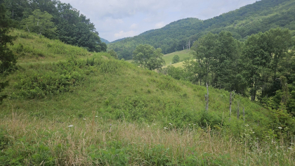 Rebel Farms 2 Tract 1