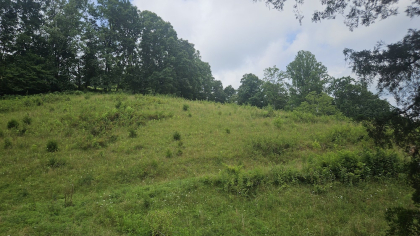 Rebel Farms 2 Tract 1