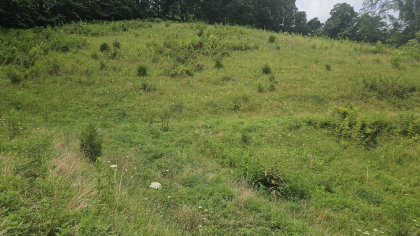 Rebel Farms 2 Tract 1