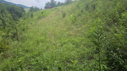 Rebel Farms 2 Tract 1