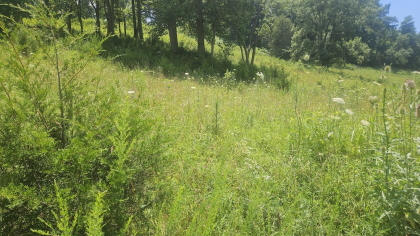 Rebel Farms 2 Tract 1