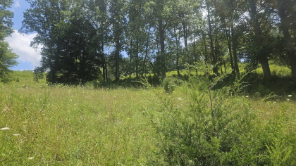 Rebel Farms 2 Tract 1