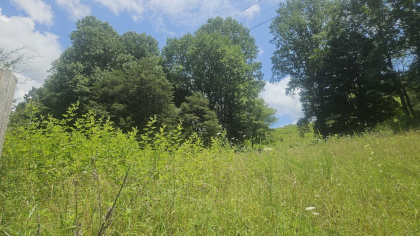 Rebel Farms 2 Tract 1