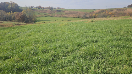 Oak Hill Farms Tract 21