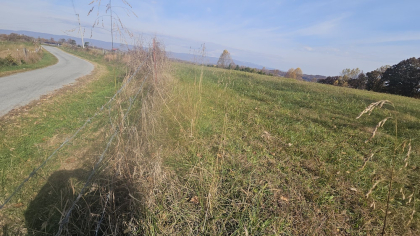 Oak Hill Farms Tract 29