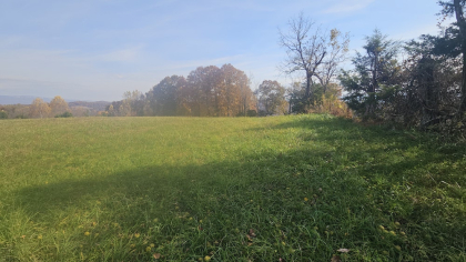 Oak Hill Farms Tract 29