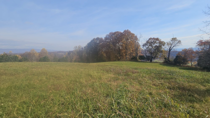 Oak Hill Farms Tract 29