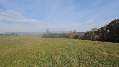 Oak Hill Farms Tract 29