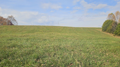 Oak Hill Farms Tract 29