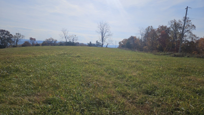 Oak Hill Farms Tract 29