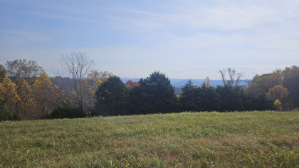 Oak Hill Farms Tract 28