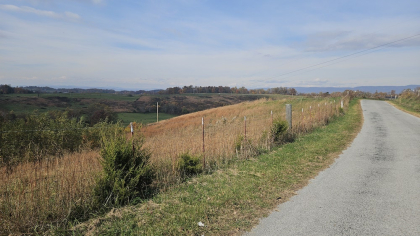 Oak Hill Farms Tract 19