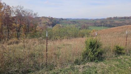 Oak Hill Farms Tract 19