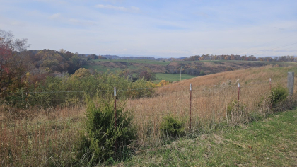 Oak Hill Farms Tract 19