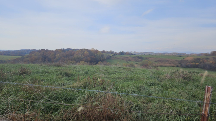 Oak Hill Farms Tract 19