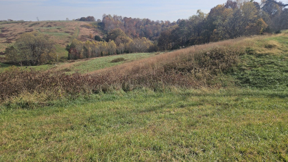 Oak Hill Farms Tract 18