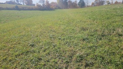 Oak Hill Farms Tract 18