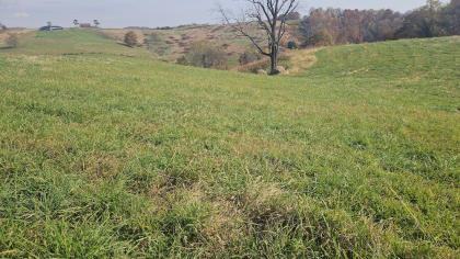 Oak Hill Farms Tract 18