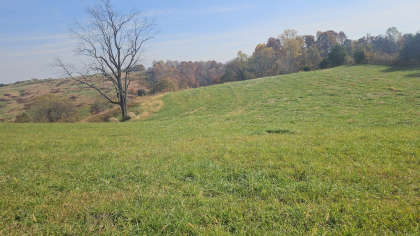 Oak Hill Farms Tract 18