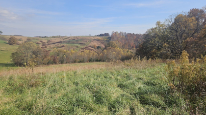 Oak Hill Farms Tract 18