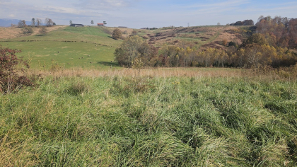 Oak Hill Farms Tract 18