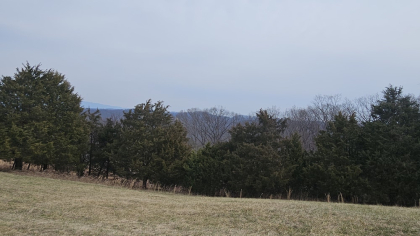 Oak Hill Farms Tract 27