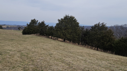 Oak Hill Farms Tract 27