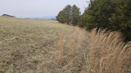 Oak Hill Farms Tract 27