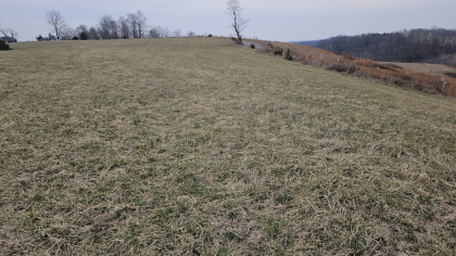 Oak Hill Farms Tract 28