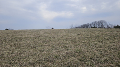 Oak Hill Farms Tract 28