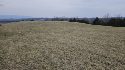 Oak Hill Farms Tract 28