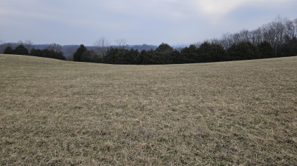 Oak Hill Farms Tract 28