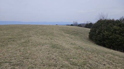 Oak Hill Farms Tract 28