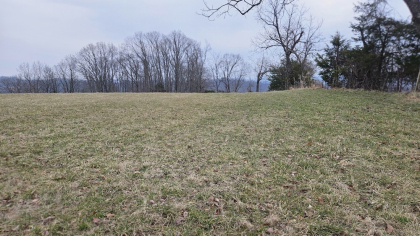 Oak Hill Farms Tract 29