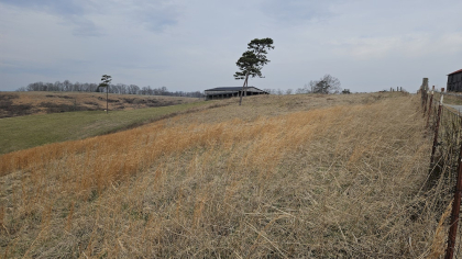 Oak Hill Farms Tract 21