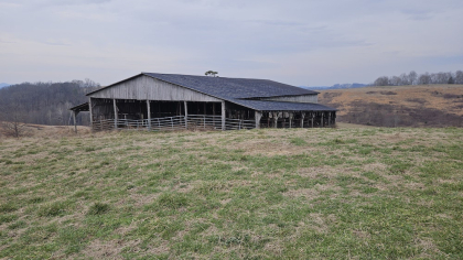 Oak Hill Farms Tract 21